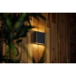 Garden Lights | MURO